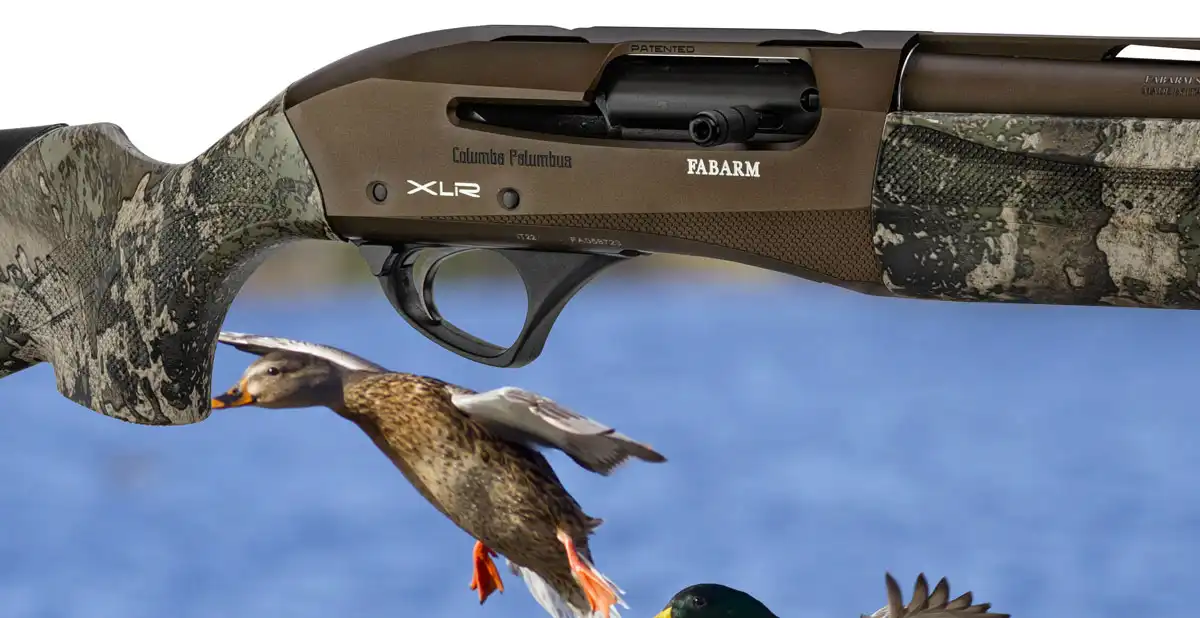 Semi-auto Fabarm XLR Colomba : une machine pour chasseurs de migrateurs