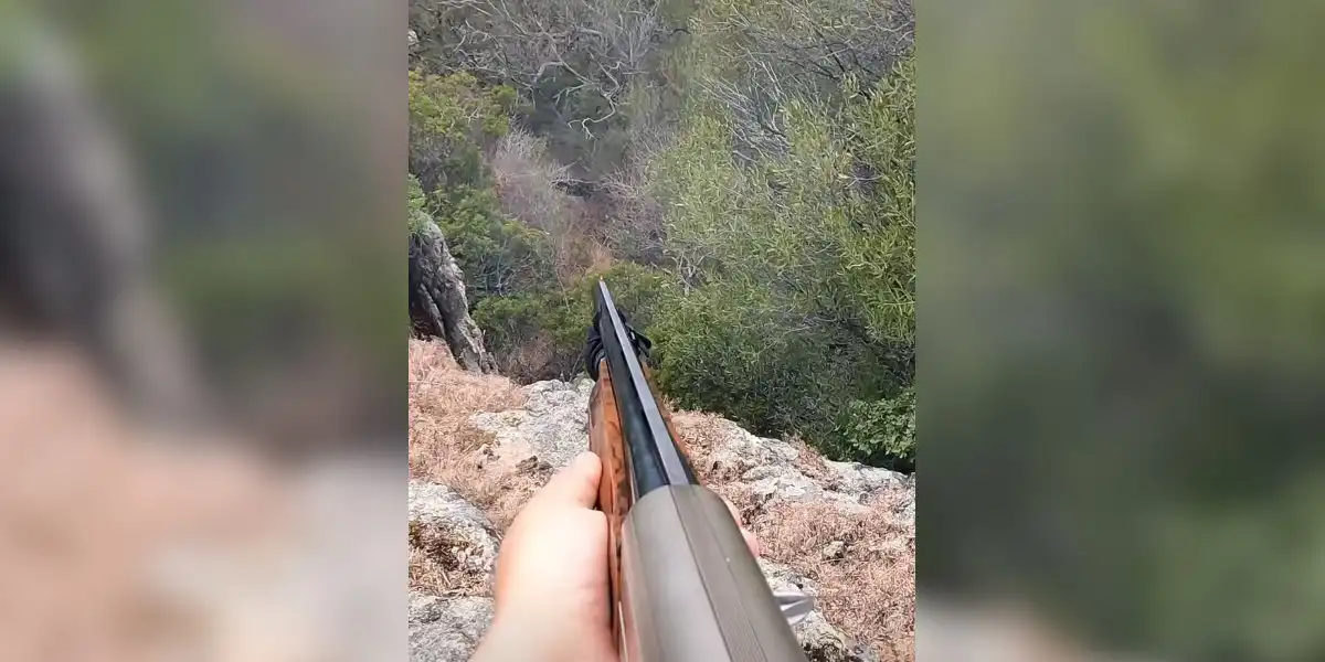 [Vidéo] Tir rapide d’un sanglier dans les montagnes Corses