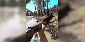 [Vidéo] Tirer un sanglier gîté dans l’eau, c’est possible