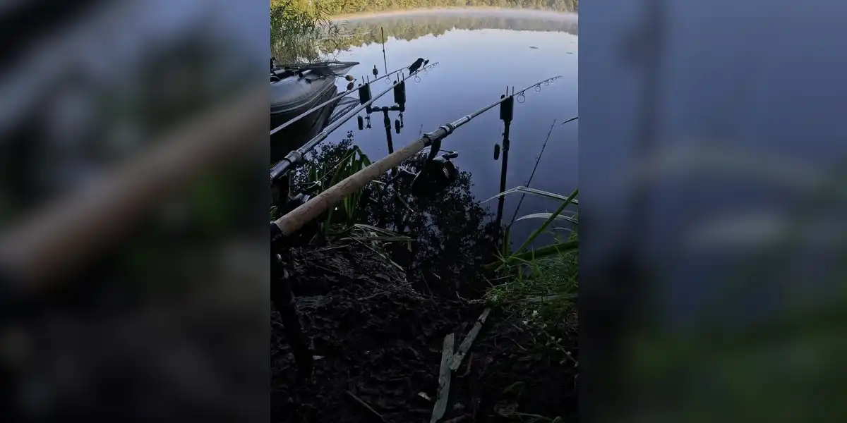 [Vidéo] Quand tes cannes bipent à cause du martin pêcheur