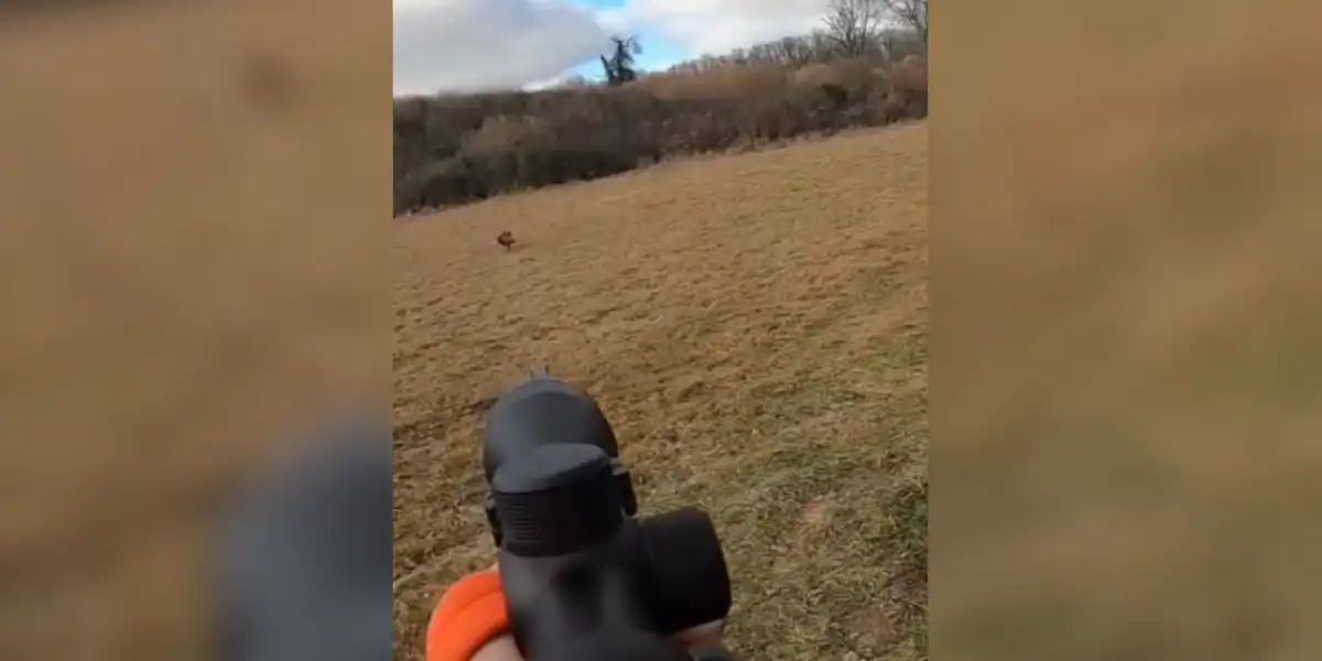 [Vidéo] Un chasseur prélève un sanglier qui lui fonce droit dessus