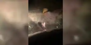 [Vidéo] Un sanglier charge droit dans une voiture et s’écrase sur le pare-chocs