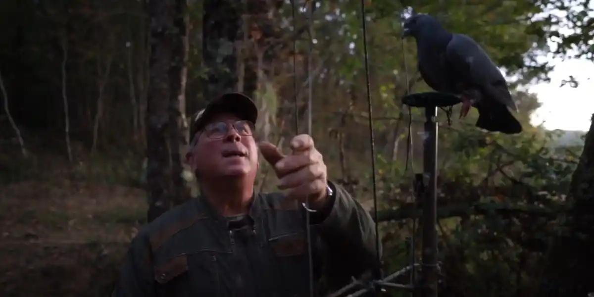 [Vidéo] Vivre quelques jours de chasse à la palombière dans le Gers