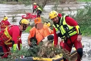 Un chasseur et ses 5 chiens sauvé des eaux par les pompiers