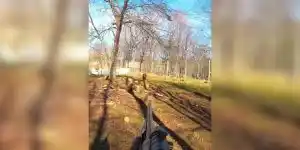 [Vidéo] Un chasseur prélève un gros sanglier qui lui fonce droit dessus