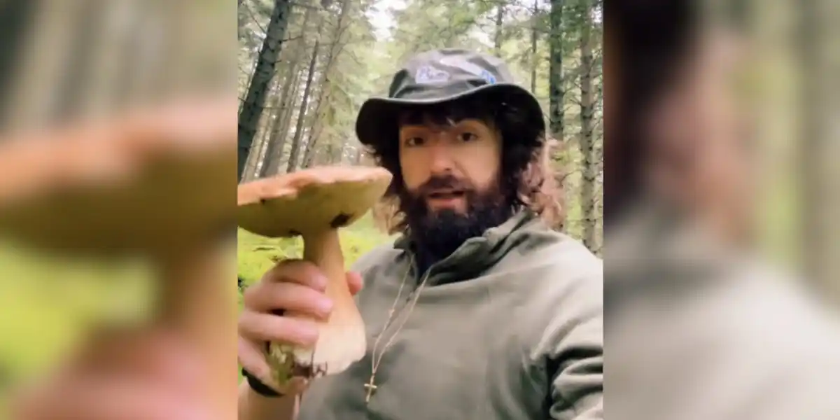 un ramasseur de champignon défend les chasseurs