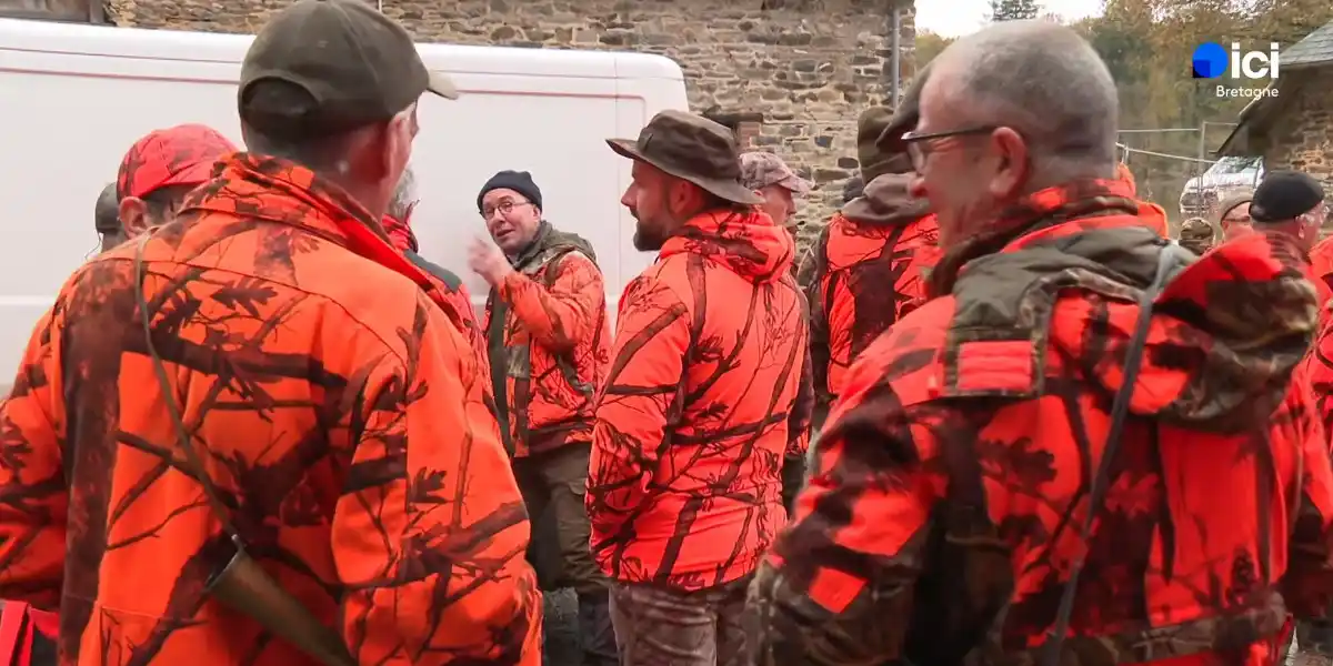 [Vidéo] Bracelets, dégâts et prélèvements : le rôle des chasseurs Bretons dans la régulation du sanglier