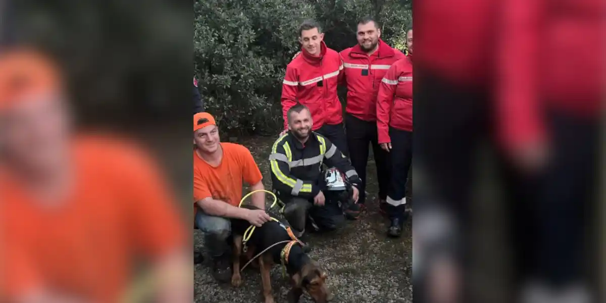 Un chien de chasse piégé 24 heures dans une cavité rocheuse sauvé par les pompiers du Gard