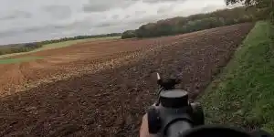 [Vidéo] Actions de chasse en battue et sortie de compagnies de sangliers dans la plaine