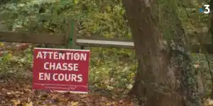 plan de chasse cervidés Oise