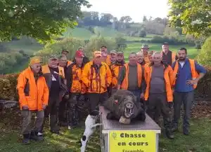 Aveyron : l’histoire de « Phiphi » le sanglier prélevé 2 an après avoir était bagué.