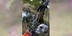 tir d'un sanglier à l'arc dans le marais