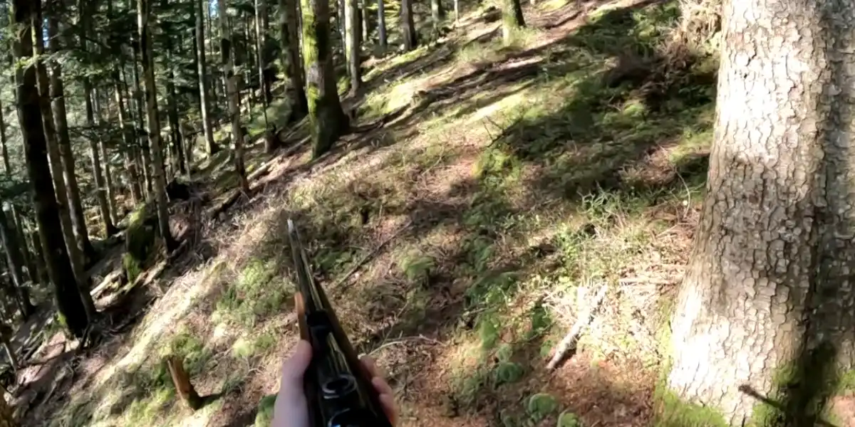 [Vidéo] Un joli triplé de sanglier à la Mauser en 7×64