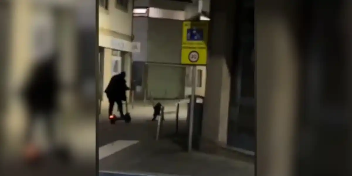 [Vidéo] Un homme en trottinette électrique tombe face à un sanglier en pleine ville