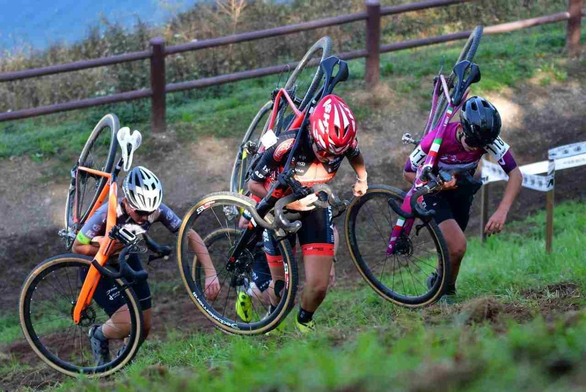 Les sangliers mettent en péril une épreuve de cyclo-cross en Saône-et-Loire