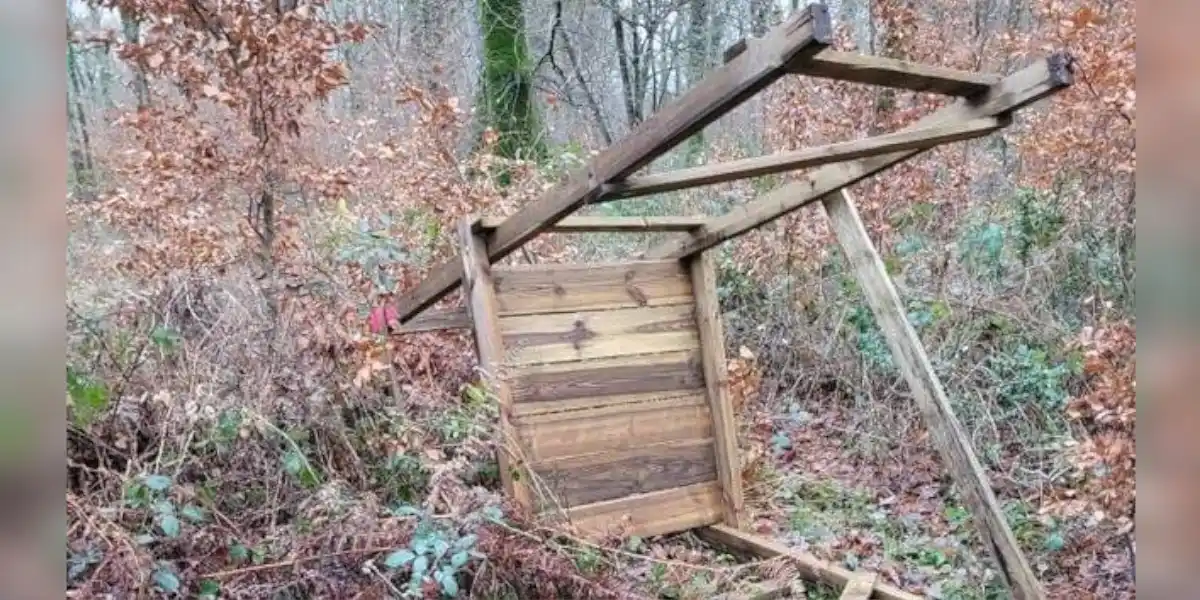 miradors cassés en foret de Cerisy