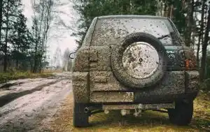 Une enquête ouverte dans les Vosges suite à une vidéo d’un 4×4 qui tente d’écraser un sanglier