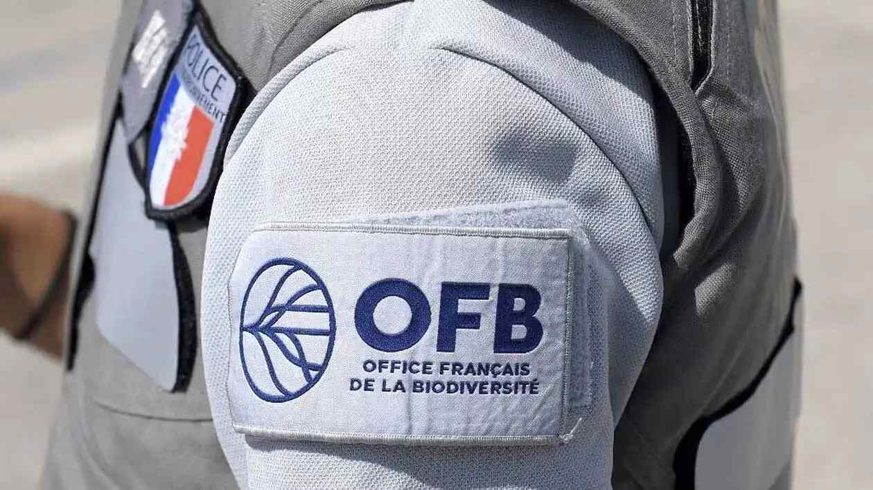 OFB