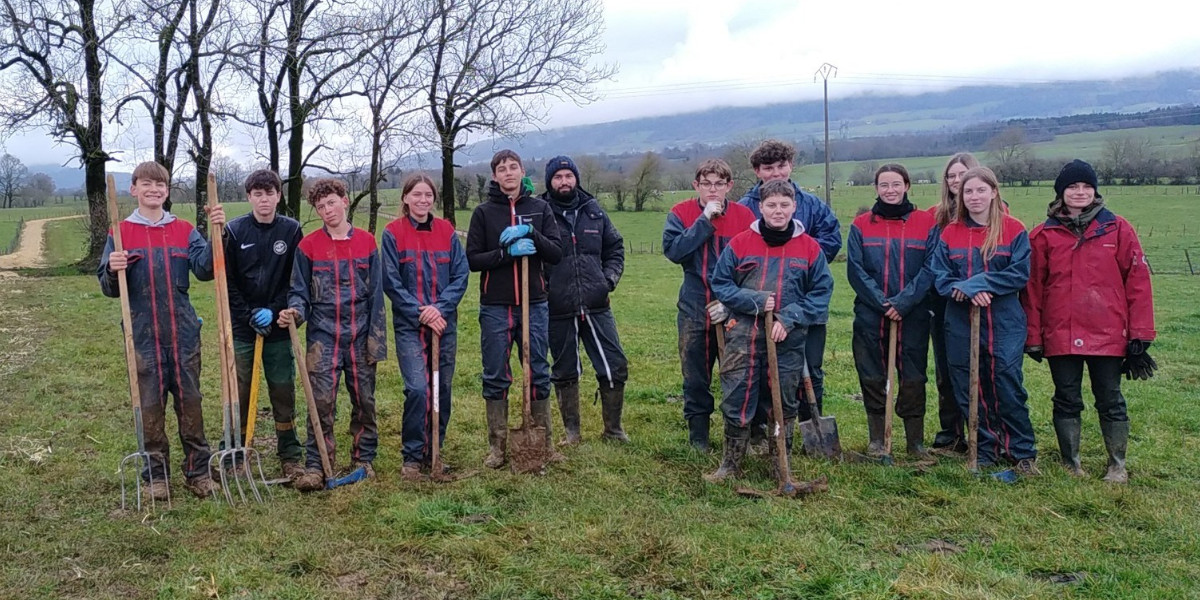 plantations de 400 arbres Domprel