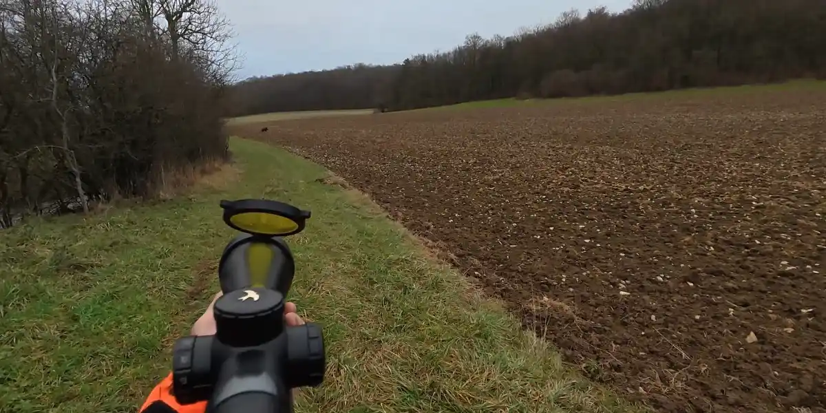 triplé de sangliers et un male de 100kgs