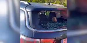 Un chasseur retrouve sa voiture avec une vitre totalement explosée par un cycliste