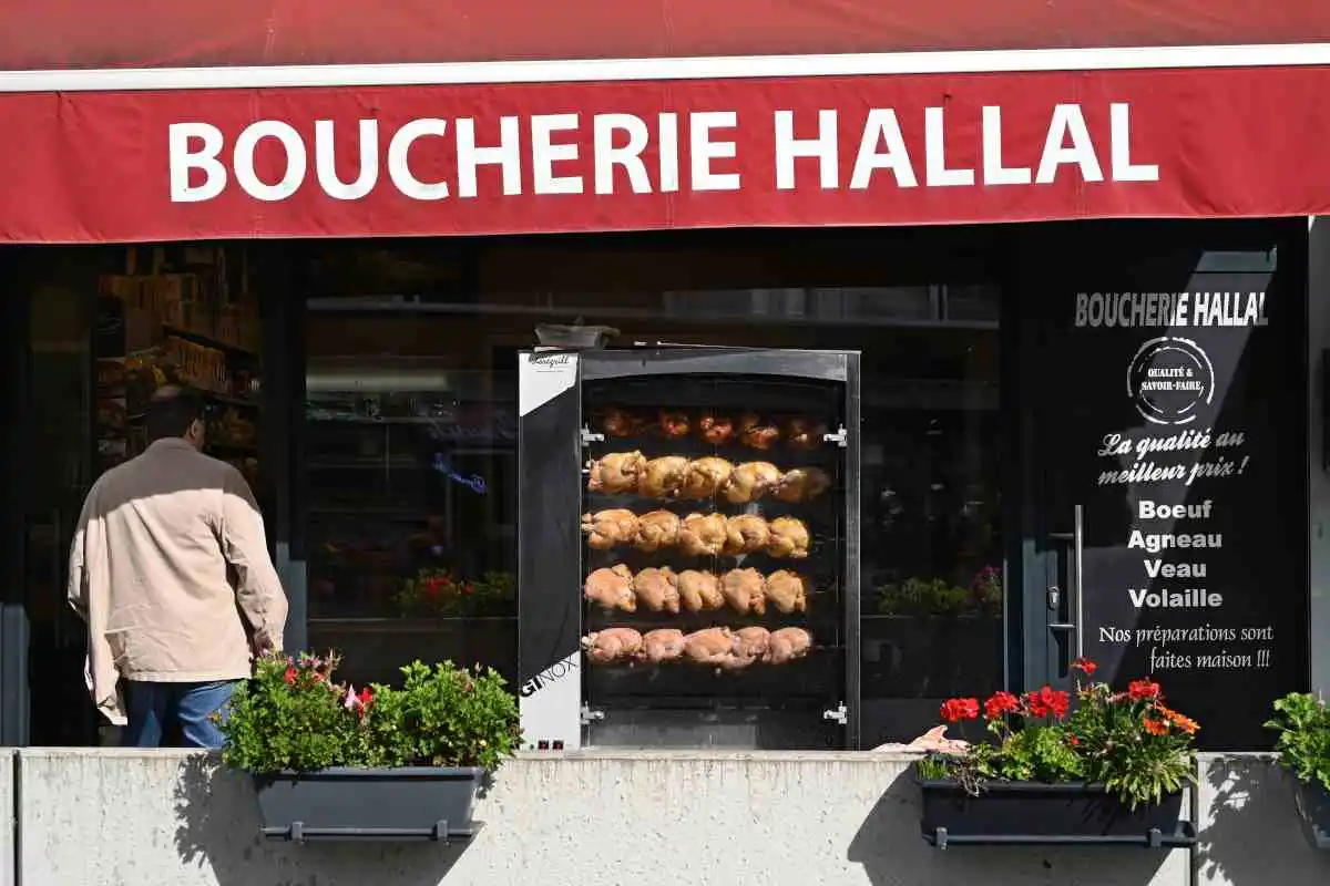 Une boucherie hallal fermée car elle vendait… du sanglier