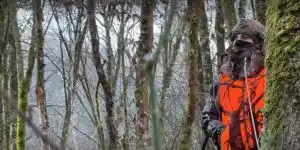 chasse à l'arc en forêt de Chaumont