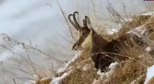 [Vidéo] Un sublime reportage sur une famille de vidéastes passionnés en montagne