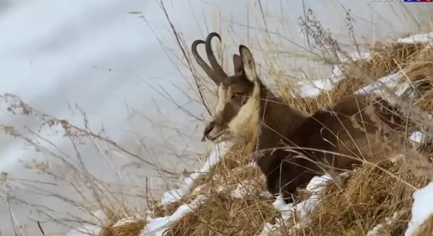 [Vidéo] Un sublime reportage sur une famille de vidéastes passionnés en montagne