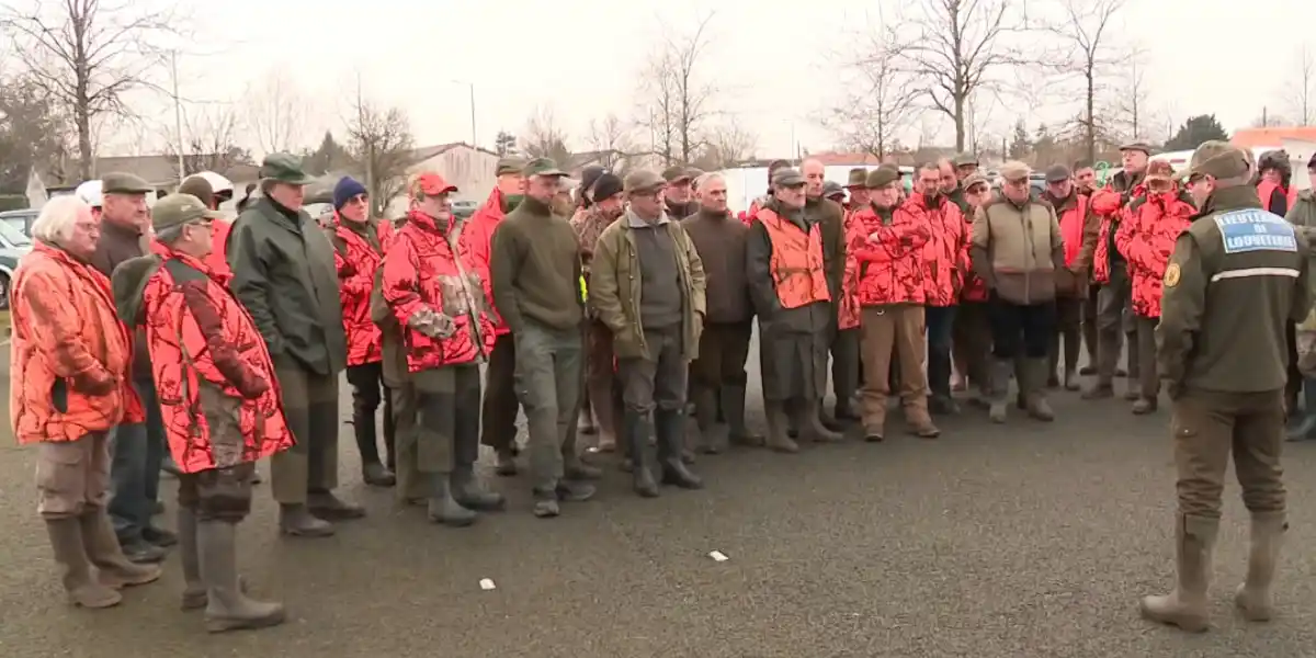 [Vidéo] Une battue menée en bordure de zone urbaine près de Poitiers