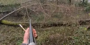 compilation chasse au grand gibier