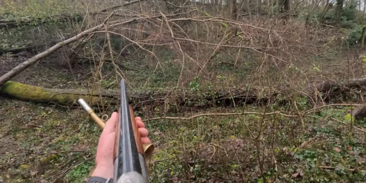 [Vidéo] Compilation de chasse au grand gibier avec des prélèvements et des loupés