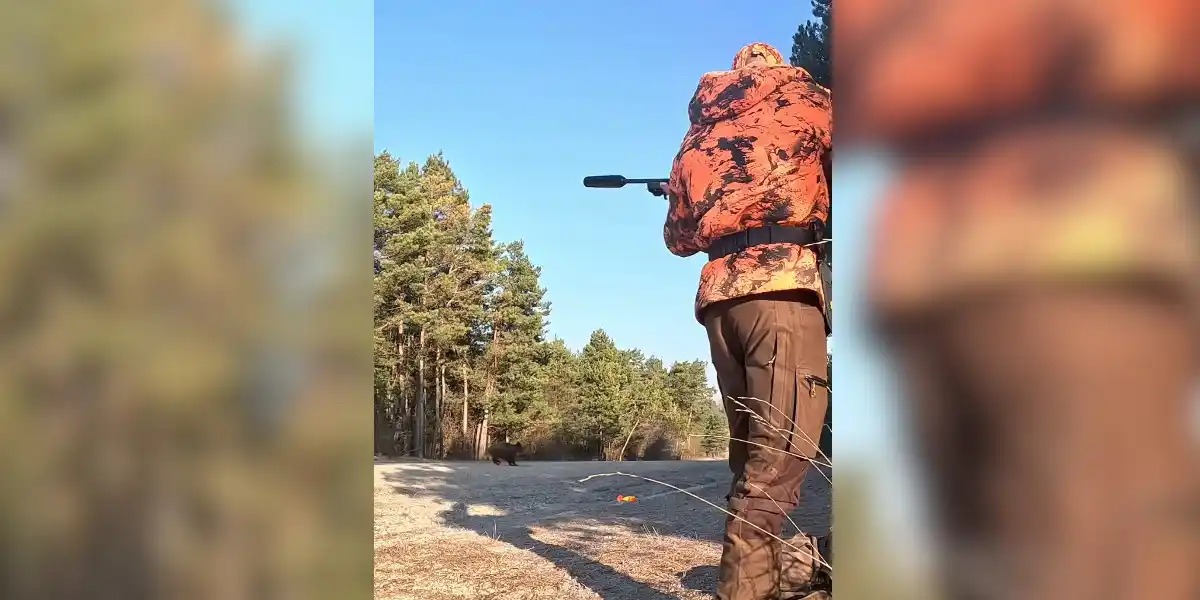 [Vidéo] Un sanglier freine pile poil avant de passer la ligne