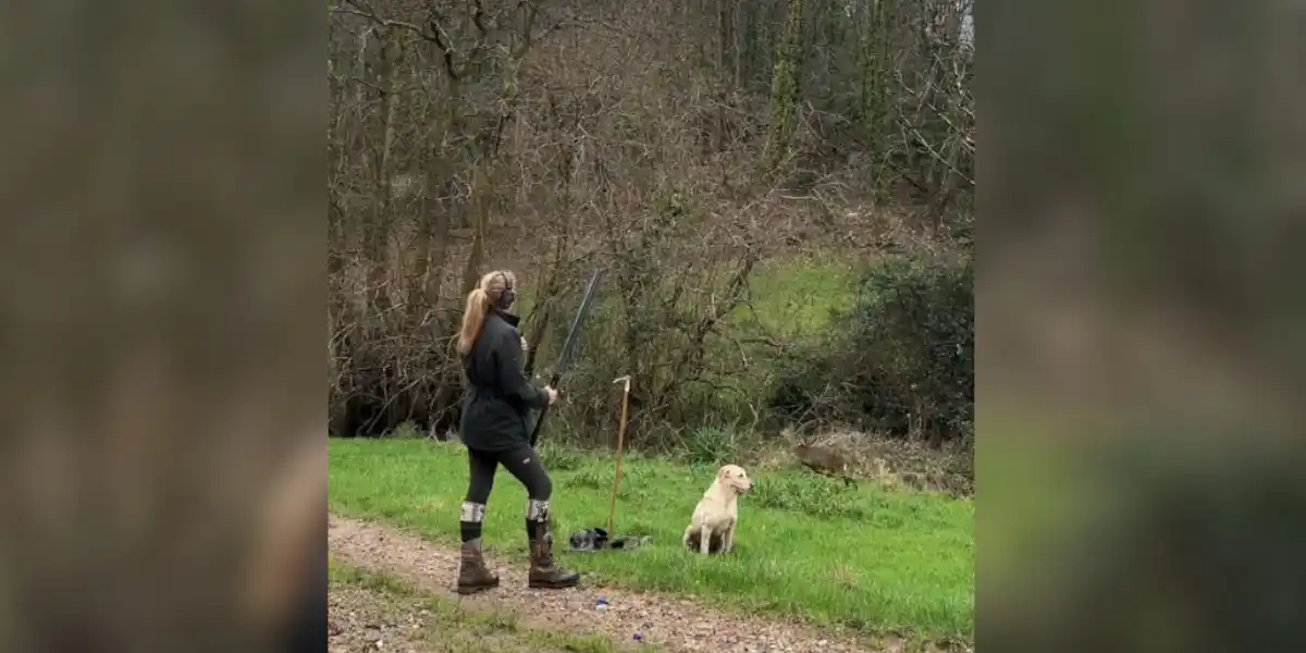 [Vidéo] La réaction incroyable d’un chien de chasse au petit gibier lors du passage d’un chevreuil