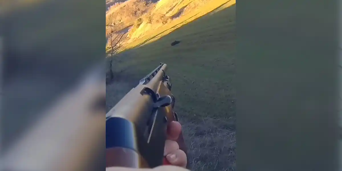 [Vidéo] Un beau sanglier séché net au fusil semi-automatique