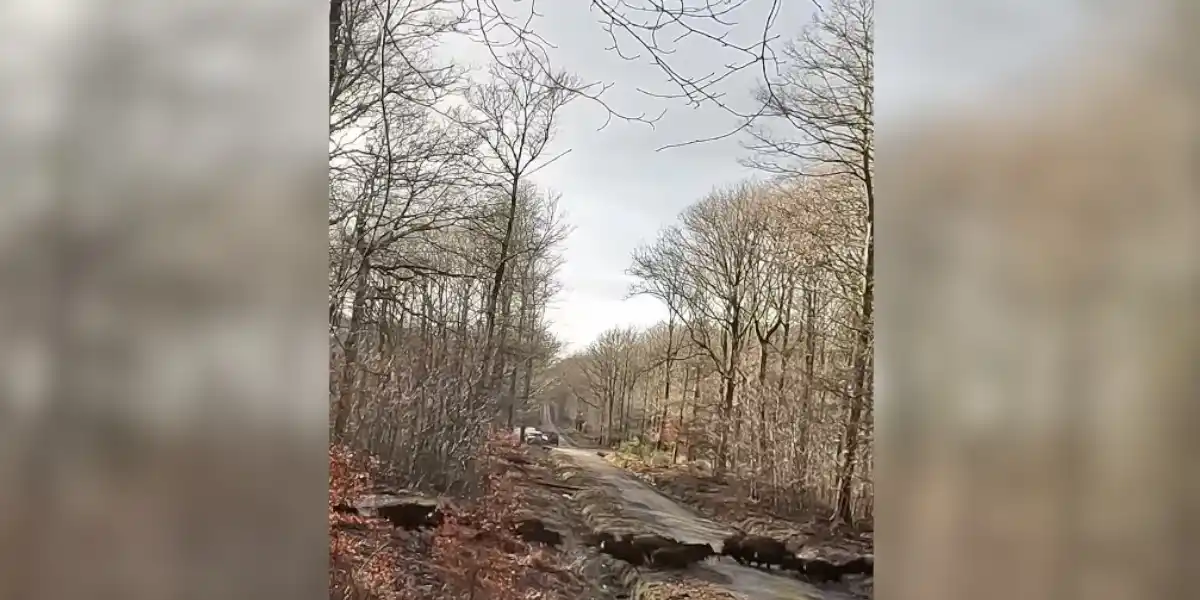 [Vidéo] Tir dans une grosse compagnie de sangliers qui passe la ligne