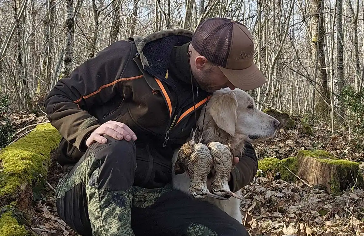 L’amitié entre l’homme et son chien de chasse : une alliance indéfectible