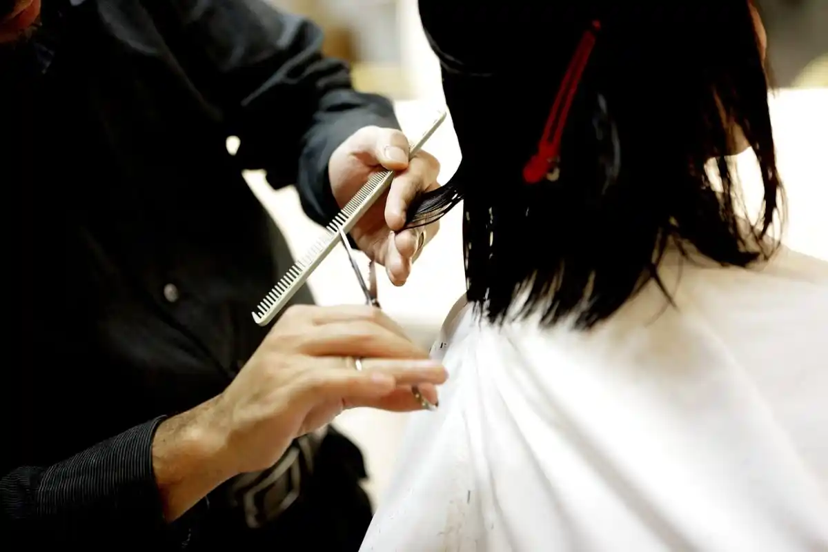 Un sanglier sème la panique dans un salon de coiffure de Seine-et-Marne